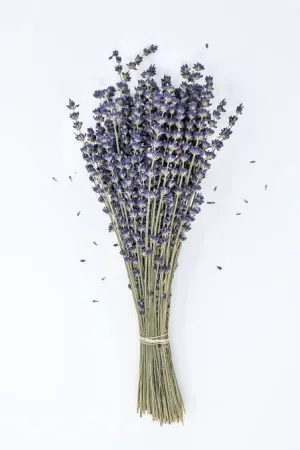 Dried Organic Lavender Bunch|100% Natural Real Dry Flower for Home,Office,Shop Decor & Fragrance, Wedding, Positivity, Yoga, Meditation, Air purify|14" length|Each bunch 30-35gm(70  stems)|(Pack of 2)