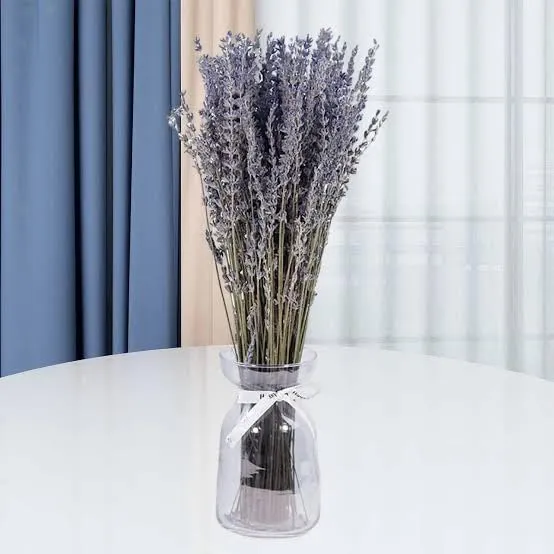 Dried Organic Lavender Bunch|100% Natural Real Dry Flower for Home,Office,Shop Decor & Fragrance, Wedding, Positivity, Yoga, Meditation, Air purify|14" length|Each bunch 30-35gm(70  stems)|(Pack of 2)