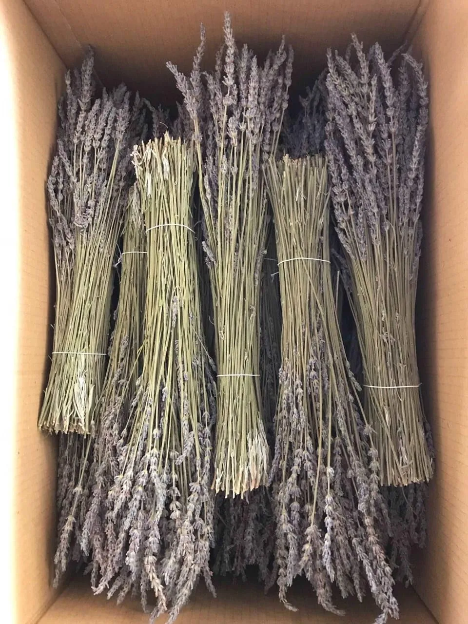 Dried Organic Lavender Bunch|100% Natural Real Dry Flower for Home,Office,Shop Decor & Fragrance, Wedding, Positivity, Yoga, Meditation, Air purify|14" length|Each bunch 30-35gm(70  stems)|(Pack of 2)